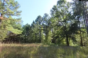 2137 Heritage Rd, Blackstock, SC 29055 - Photo 71