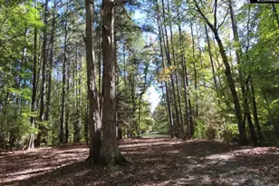 2137 Heritage Rd, Blackstock, SC 29055 - Photo 51