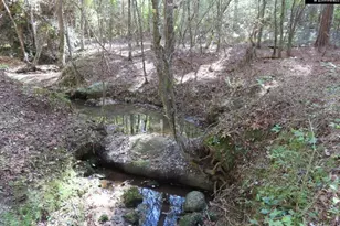 2137 Heritage Rd, Blackstock, SC 29055 - Photo 9