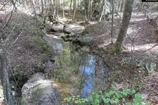 2137 Heritage Rd, Blackstock, SC 29055 - Photo 15