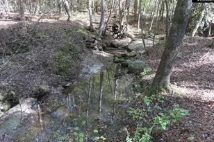 2137 Heritage Rd, Blackstock, SC 29055 - Photo 21