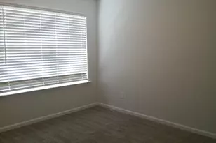 1425 Tamarind Ln, Chapin, SC 29036 - Photo 19