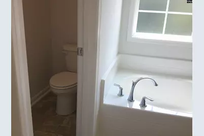 1425 Tamarind Lane, Chapin, SC 29036 - Photo 13