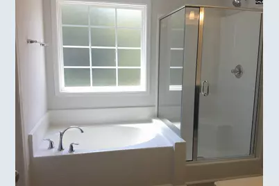 1425 Tamarind Lane, Chapin, SC 29036 - Photo 11