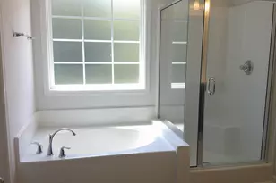 1425 Tamarind Ln, Chapin, SC 29036 - Photo 11