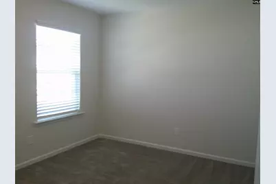 1425 Tamarind Lane, Chapin, SC 29036 - Photo 15