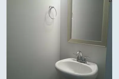 1425 Tamarind Lane, Chapin, SC 29036 - Photo 7