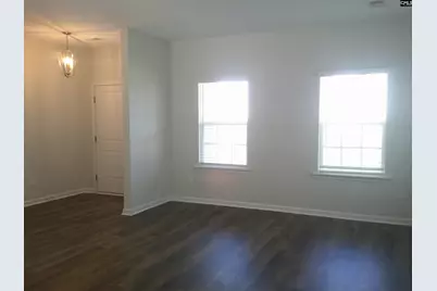 1425 Tamarind Lane, Chapin, SC 29036 - Photo 3