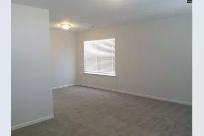 1425 Tamarind Lane, Chapin, SC 29036 - Photo 9