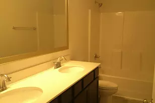 1425 Tamarind Ln, Chapin, SC 29036 - Photo 17