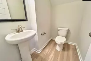 267 Aldergate Dr, Lexington, SC 29073 - Photo 11