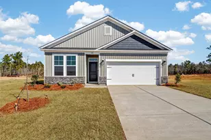 648 Old Charleston Rd, Pelion, SC 29123 - Photo 3