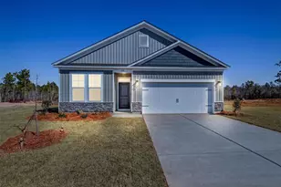 648 Old Charleston Rd, Pelion, SC 29123 - Photo 1