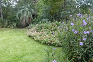 4 Woodhill Cir, Columbia, SC 29209 - Photo 37