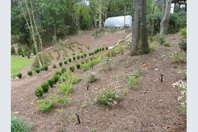 4 Woodhill Circle, Columbia, SC 29209 - Photo 43