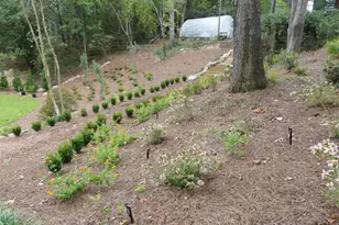 4 Woodhill Cir, Columbia, SC 29209 - Photo 43