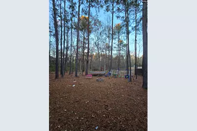4 Back Bay Court, Columbia, SC 29229 - Photo 29