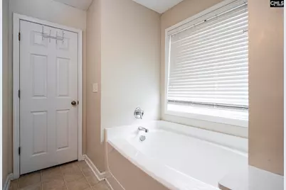 113 Eagleview Drive, Lexington, SC 29073 - Photo 25