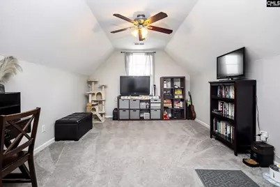 113 Eagleview Drive, Lexington, SC 29073 - Photo 9