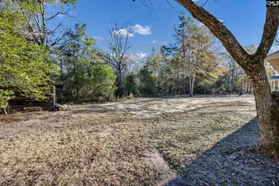 673 Clay Hill Road, Pelion, SC 29123 - Photo 27
