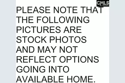 3913 Golden Crane Pass, Lexington, SC 29073 - Photo 7