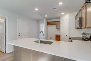 3913 Golden Crane Pass, Lexington, SC 29073 - Photo 11