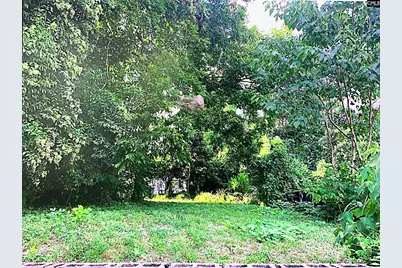 2313 Greene Street, Columbia, SC 29205 - Photo 5