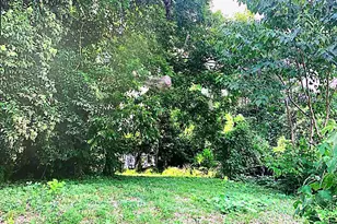 2313 Greene St, Columbia, SC 29205 - Photo 5