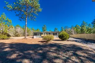 1061 Bub Shumpert Rd, Pelion, SC 29123 - Photo 3
