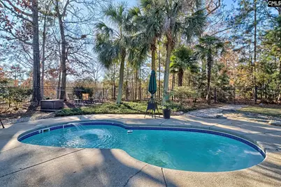 417 Oxenbridge Way, Chapin, SC 29036 - Photo 43