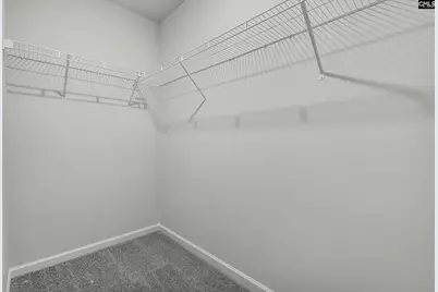 155 Calm Citadel Drive, Pelion, SC 29123 - Photo 17