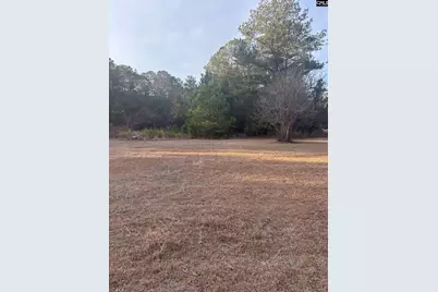 420 Old Wire Road, West Columbia, SC 29172 - Photo 11