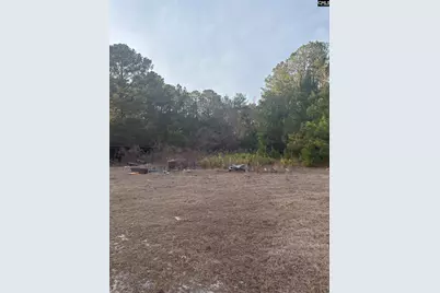 420 Old Wire Road, West Columbia, SC 29172 - Photo 9