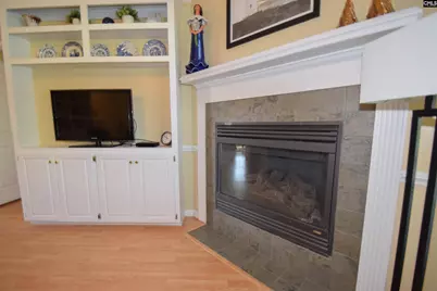 21 Southwoode Circle, Chapin, SC 29036 - Photo 7