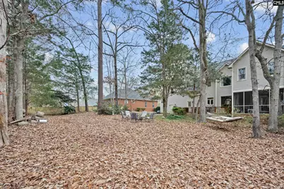 343 Night Harbor Drive, Chapin, SC 29036 - Photo 29
