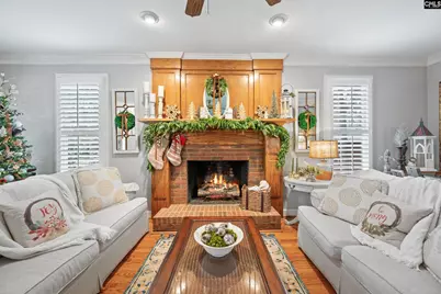 343 Night Harbor Drive, Chapin, SC 29036 - Photo 7