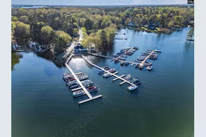 343 Night Harbor Drive, Chapin, SC 29036 - Photo 49