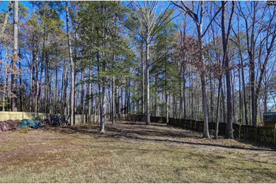 217 Underwood Court, Lexington, SC 29072 - Photo 47