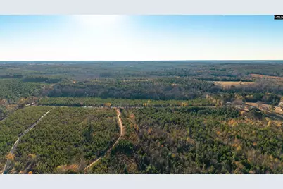 00 Indigo Branch Trail, Saint Matthews, SC 29135 - Photo 3