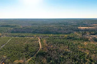 00 Indigo Branch Trail, Saint Matthews, SC 29135 - Photo 3