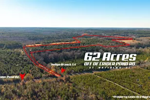 00 Indigo Branch Trail, Saint Matthews, SC 29135 - Photo 1