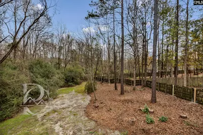 520 Menauhant Court, Lexington, SC 29072 - Photo 33