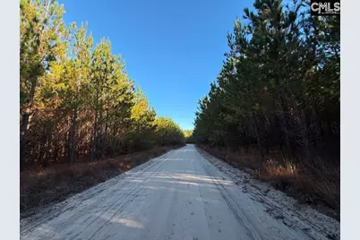 Kestrel Drive, Leesville, SC 29072 - Photo 3