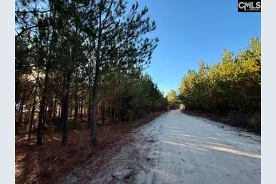 Kestrel Drive, Leesville, SC 29072 - Photo 5