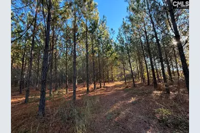 Kestrel Drive, Leesville, SC 29072 - Photo 7