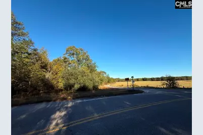 Kestrel Drive, Leesville, SC 29072 - Photo 9