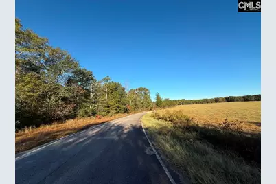 Kestrel Drive, Leesville, SC 29072 - Photo 9