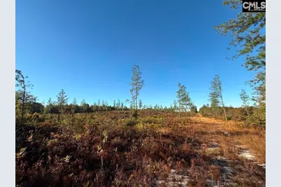 Kestrel Drive, Leesville, SC 29072 - Photo 11