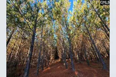 Kestrel Drive, Leesville, SC 29072 - Photo 13