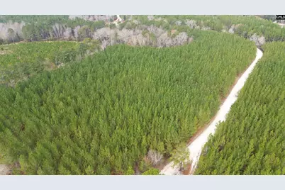 Kestrel Drive, Leesville, SC 29072 - Photo 1